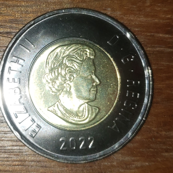 Rare Queen Elizabeth  memorial coin - Picture 3 of 3